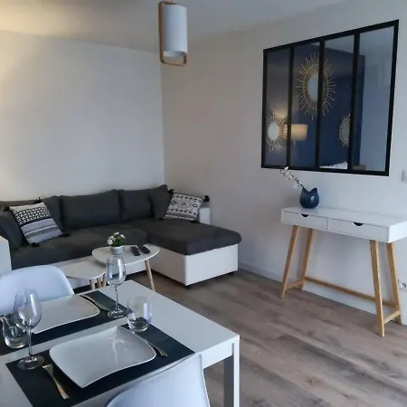 Apartment Cosy Proche Meteo France Et Airbus *