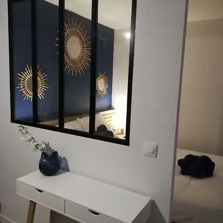 Apartment Cosy Proche Meteo France Et Airbus *