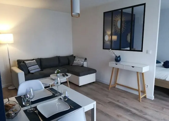 Apartment Cosy Proche Meteo France Et Airbus *