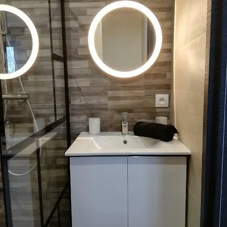 Appartement Cosy Proche Météo France Et Airbus Toulouse