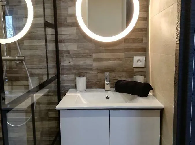 Appartement Cosy Proche Météo France Et Airbus Toulouse