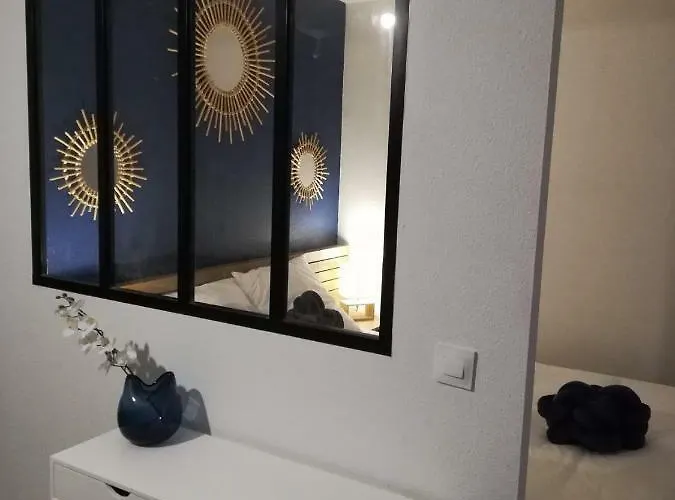 Appartement Cosy Proche Météo France Et Airbus *