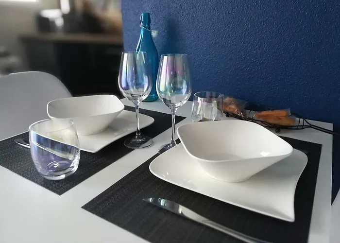 Appartement Cosy Proche Météo France Et Airbus Toulouse